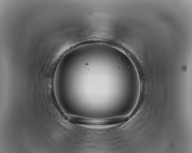 X0000094341355200711091419