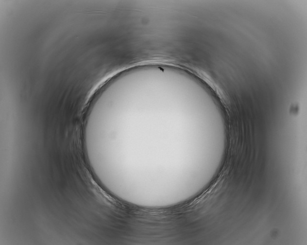 X0000094341356200711091419