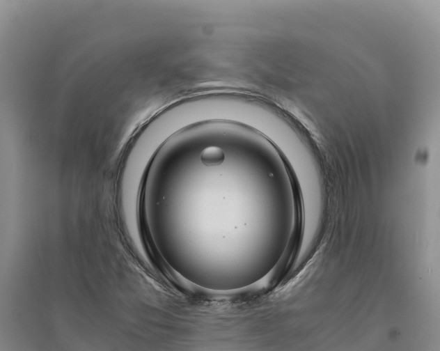 X0000094341357200711091419