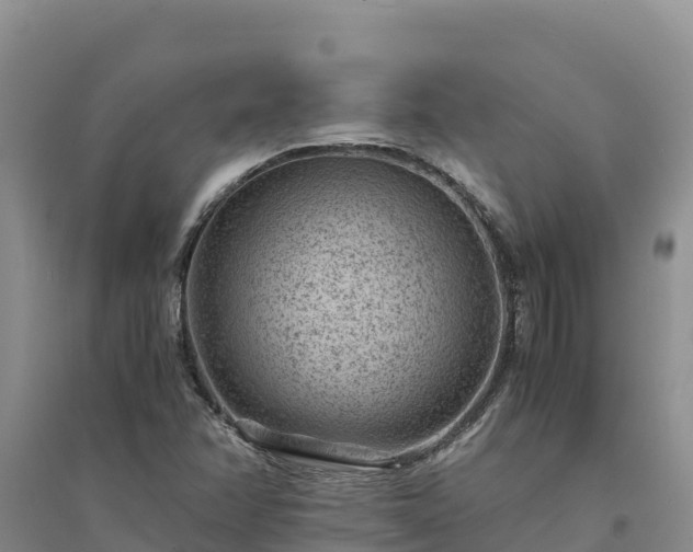 X0000094341358200711091419