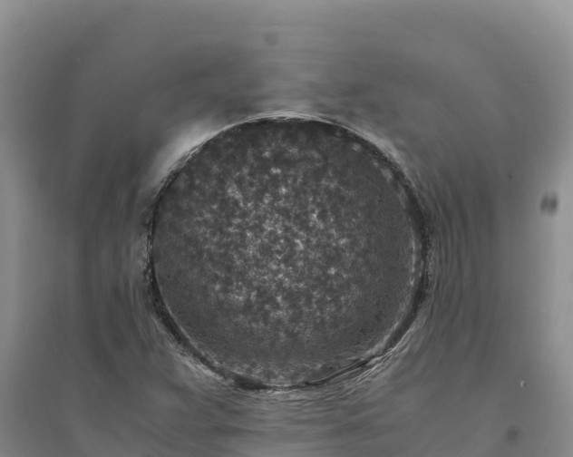X0000094341359200711091419