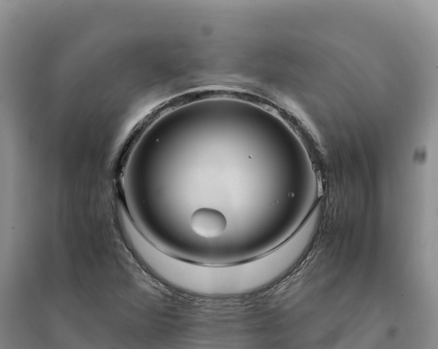 X0000094341360200711091419