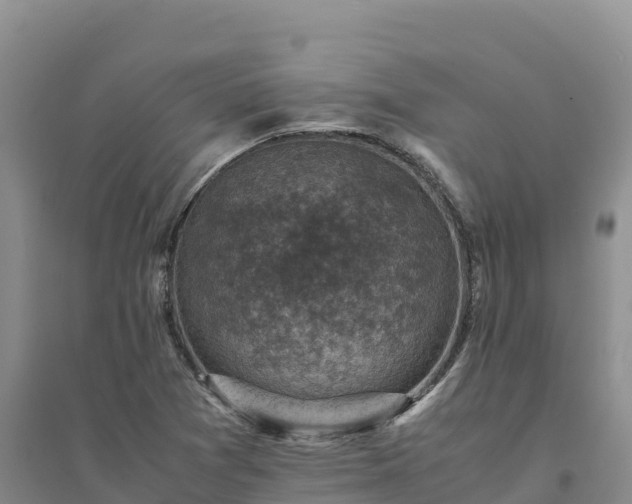 X0000094341361200711091419