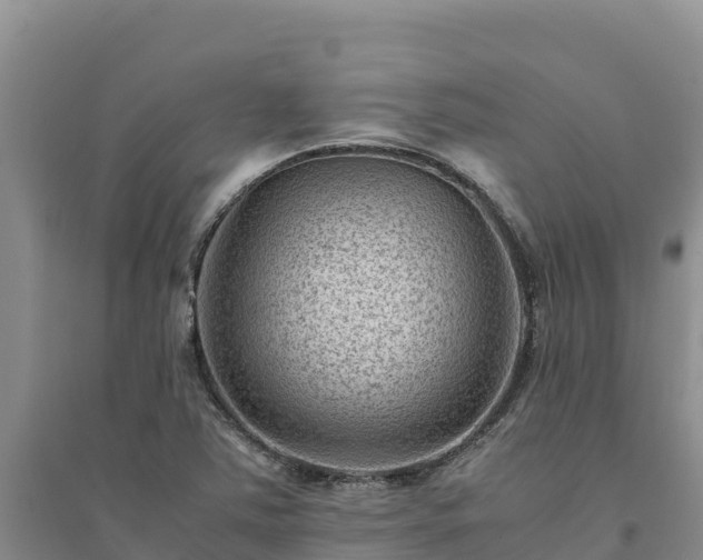 X0000094341363200711091419