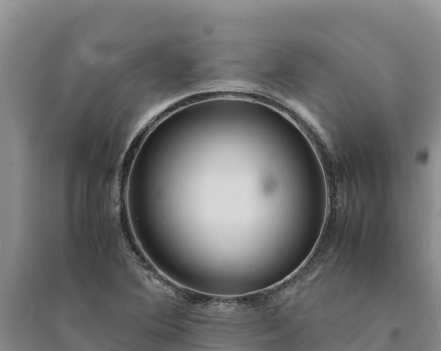 X0000094341364200711091419