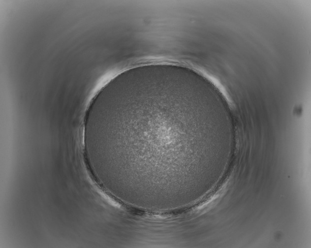 X0000094341365200711091419