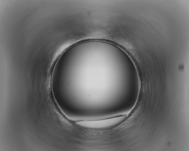 X0000094341366200711091419