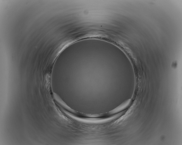 X0000094341369200711091419