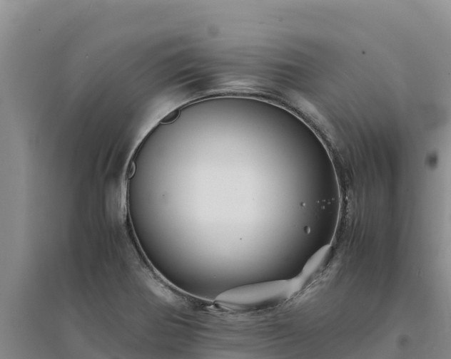 X0000094341370200711091419