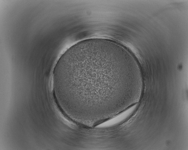 X0000094341371200711091419