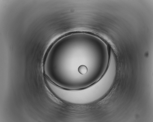 X0000094341372200711091419