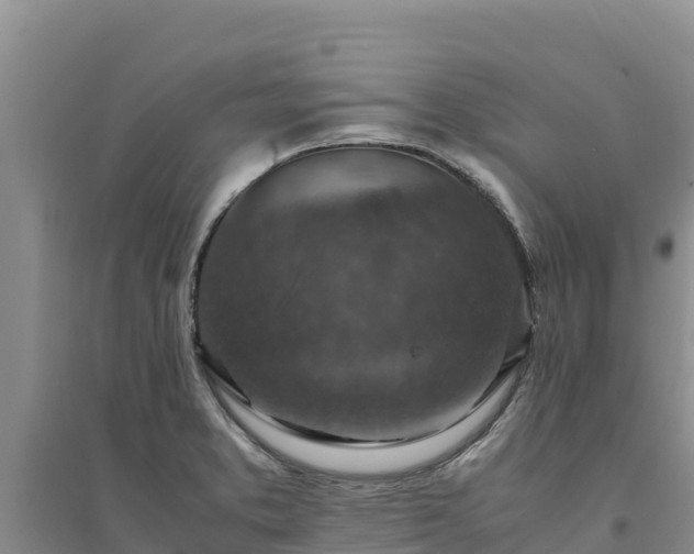 X0000094341373200711091419