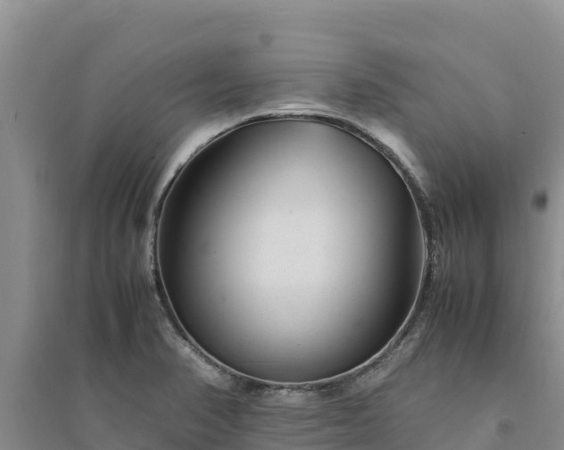 X0000094341374200711091419