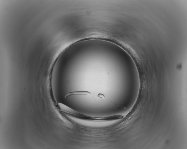 X0000094341375200711091419