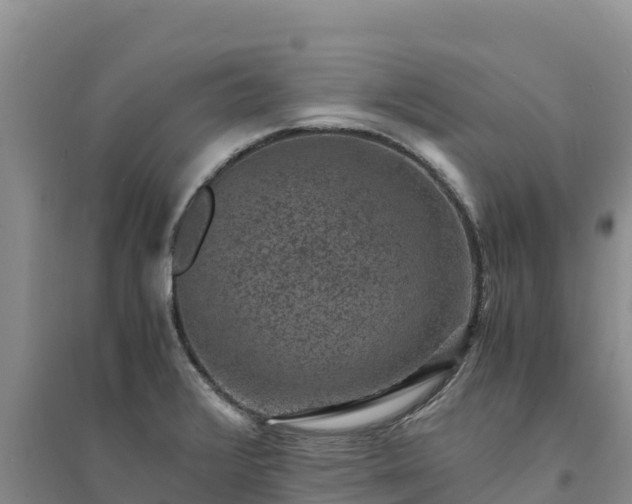X0000094341376200711091419