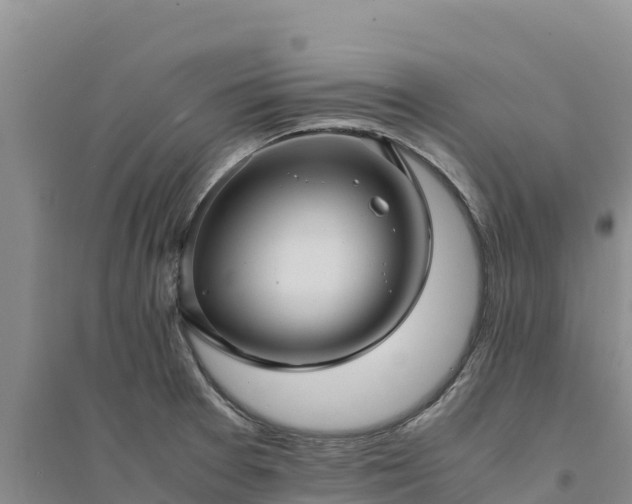 X0000094341377200711091419