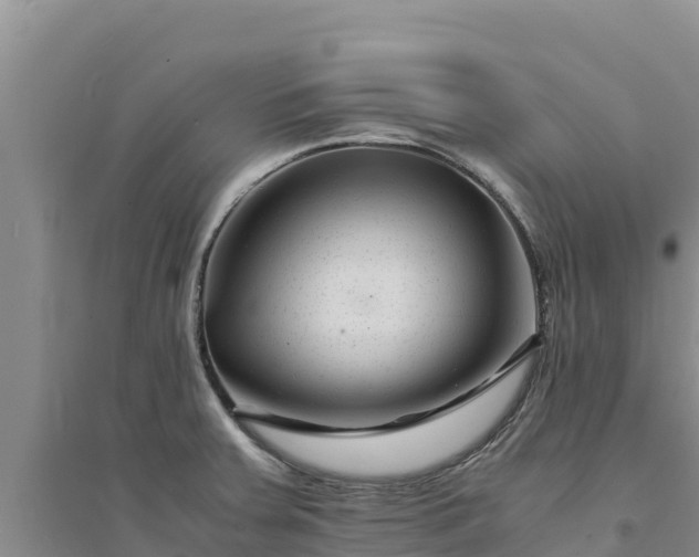 X0000094341379200711091419