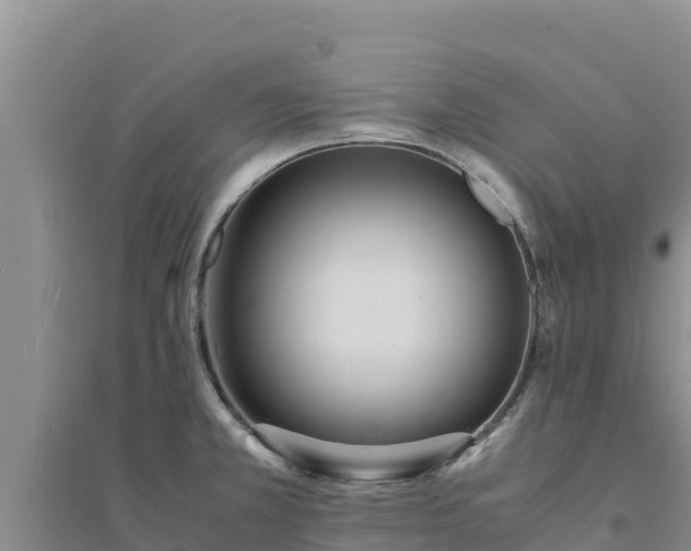 X0000094341381200711091419