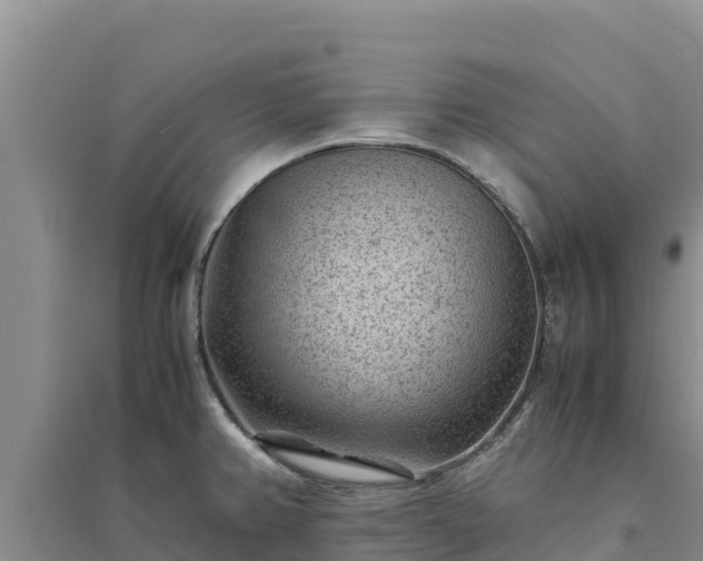 X0000094341382200711091419