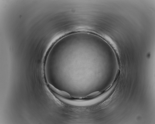 X0000094341384200711091419