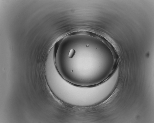 X0000094341385200711091419