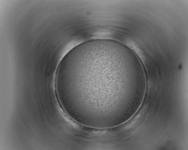X0000094341386200711091419