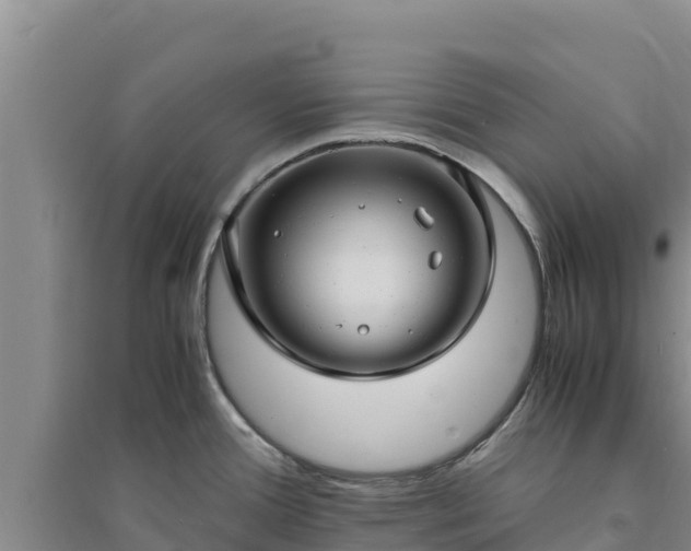 X0000094341388200711091419