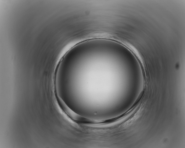 X0000094341389200711091419