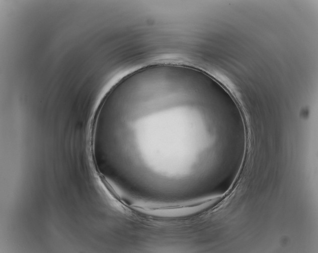 X0000094341392200711091419