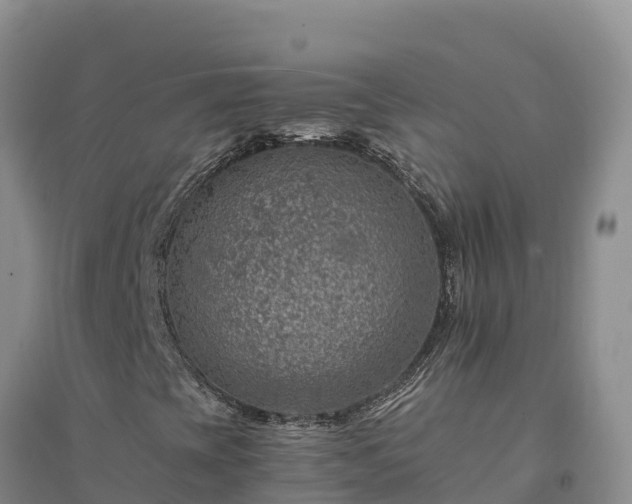 X0000094341393200711091418