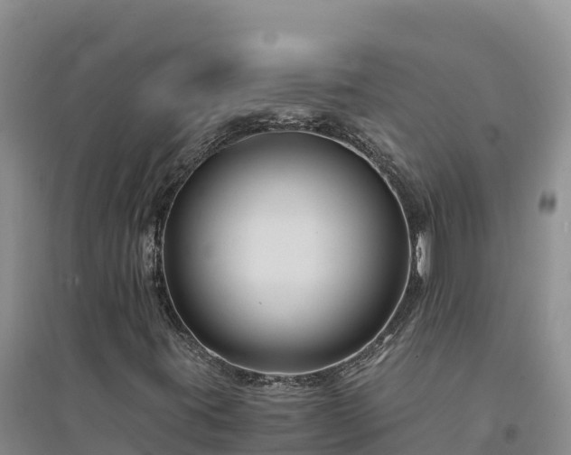 X0000094341395200711091418