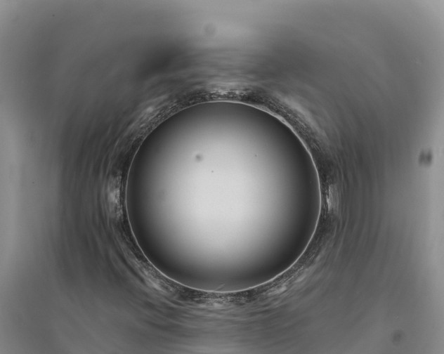 X0000094341396200711091418