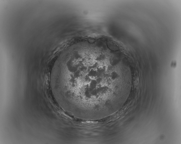 X0000094341397200711091418