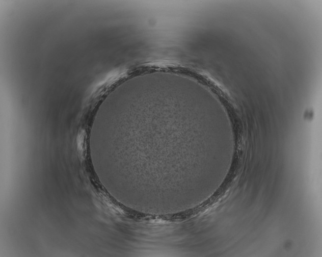 X0000094341398200711091418