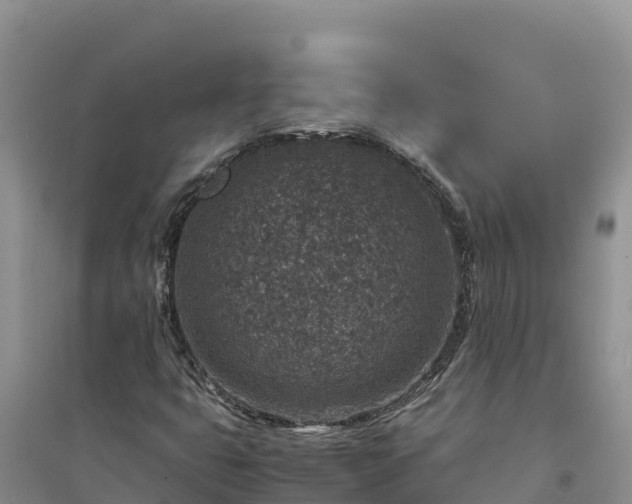X0000094341399200711091418