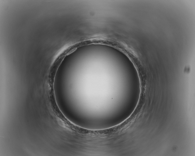 X0000094341400200711091418