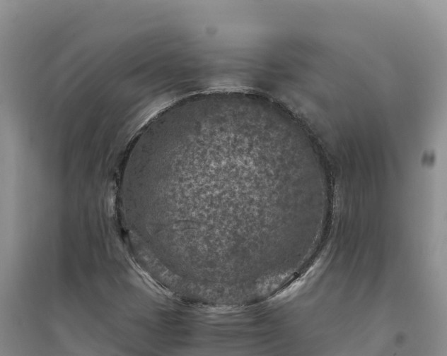 X0000094341401200711091418