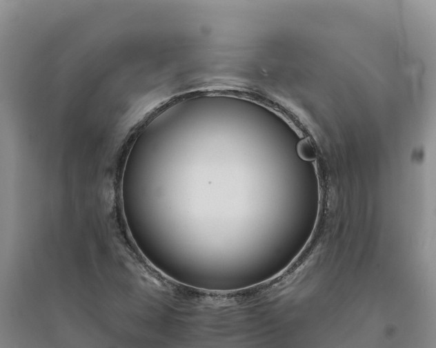 X0000094341407200711091418