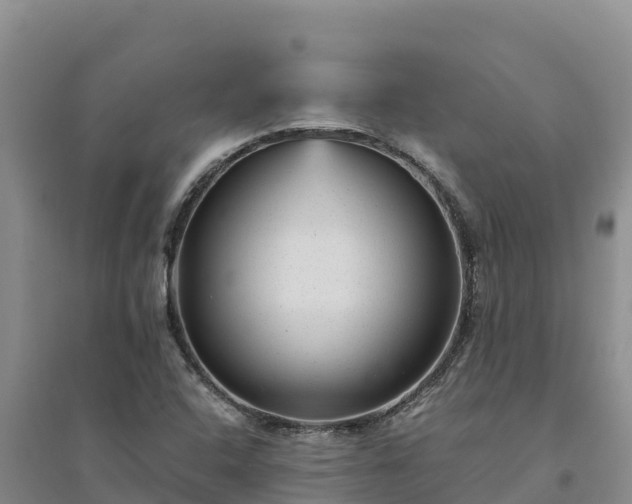X0000094341408200711091418
