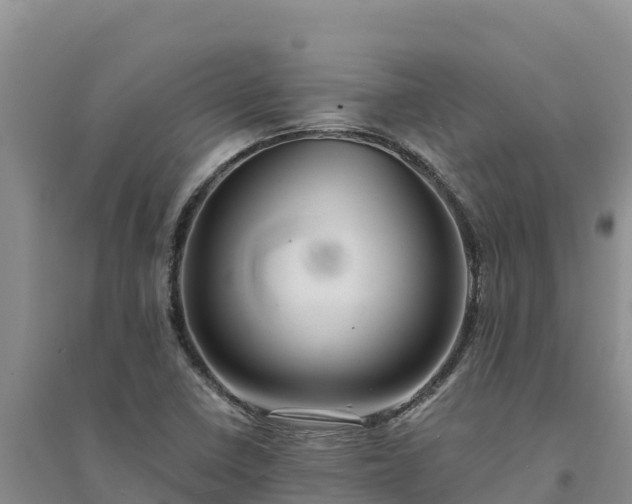 X0000094341410200711091418