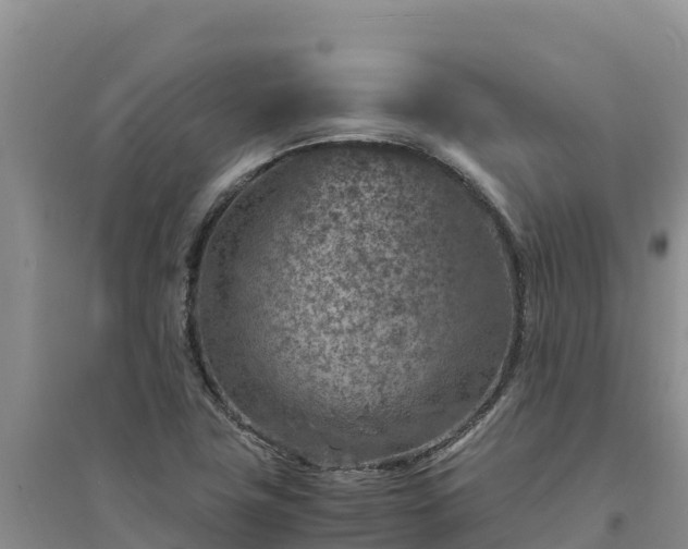 X0000094341411200711091418