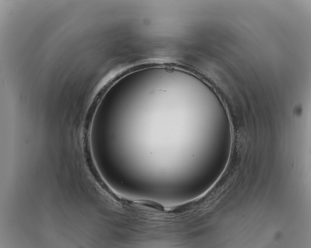 X0000094341412200711091418