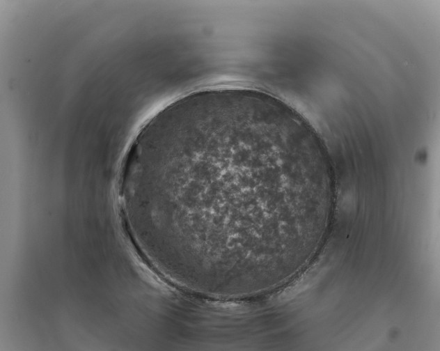 X0000094341413200711091418