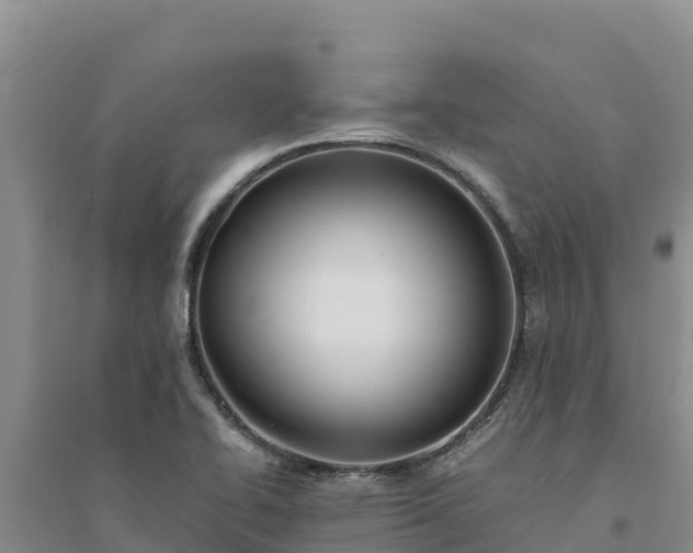 X0000094341414200711091418