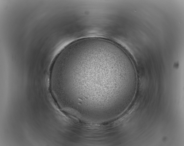 X0000094341415200711091418