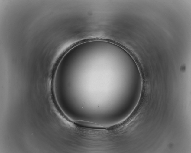 X0000094341416200711091418