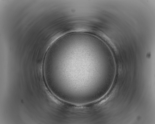 X0000094341417200711091418
