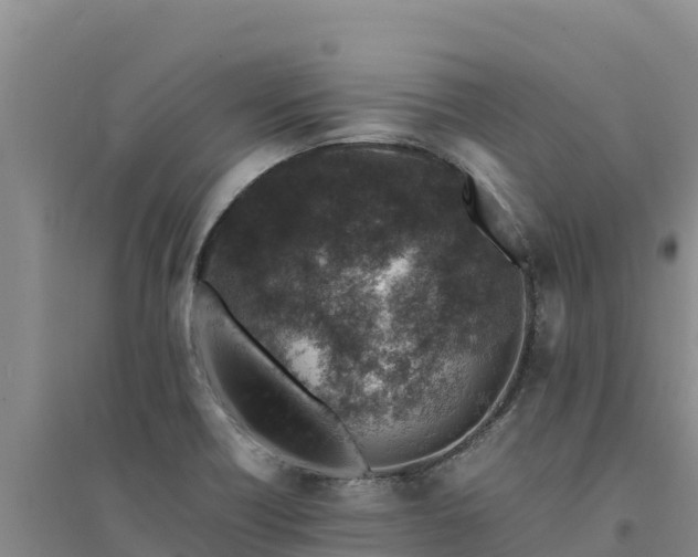 X0000094341418200711091418