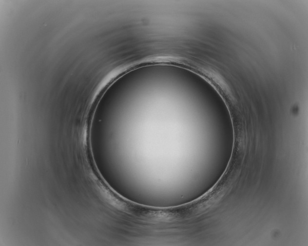 X0000094341420200711091418