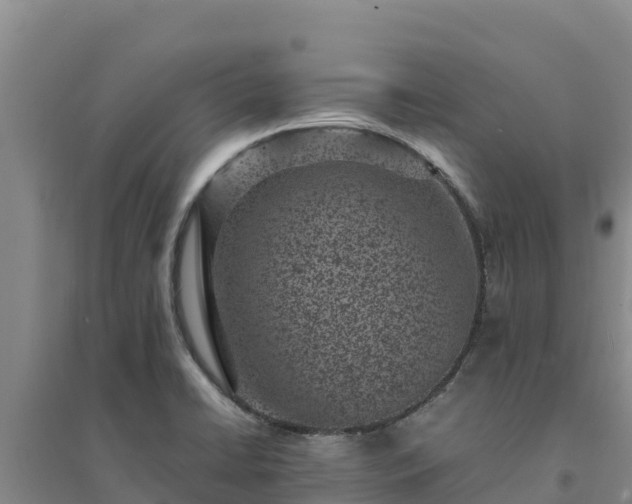 X0000094341422200711091418